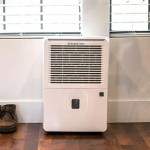 14 Popular Features in Dehumidifiers
