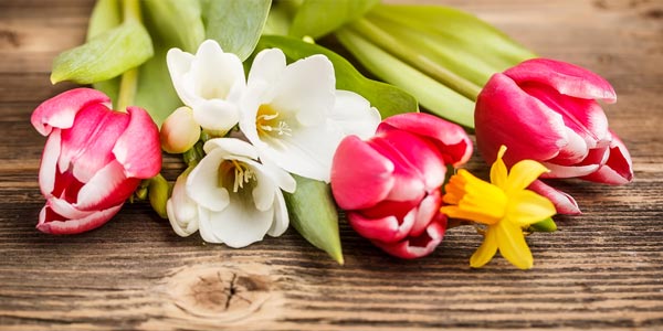 Spring Flowers That Cause Allergies