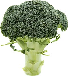 Broccoli for allergies