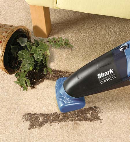 Handheld Vacuum Cleaning Up Soil