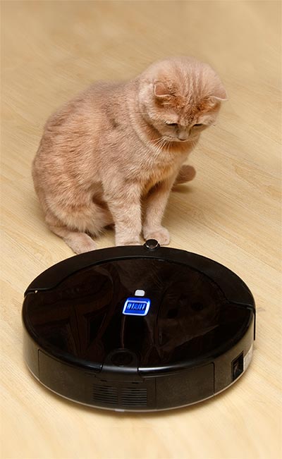 Cat With Robot Vacuum Cleaner