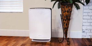 How to Choose the Best Air Purifier For You