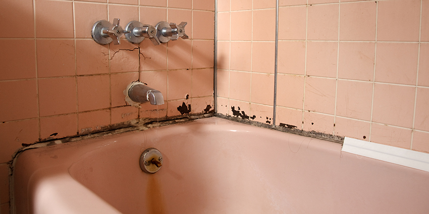 How To Prevent Bathroom Mold From, What Does Mold Look Like In The Bathroom
